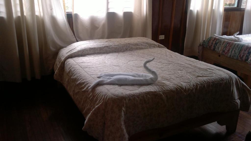 Hostel Villa Verde Monteverde Dış mekan fotoğraf