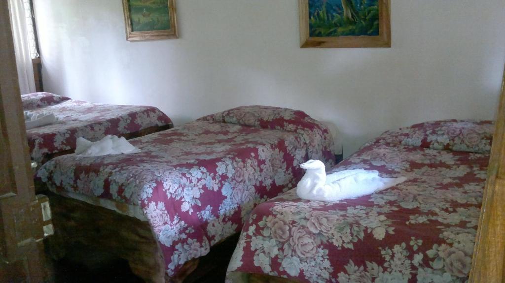 Hostel Villa Verde Monteverde Dış mekan fotoğraf