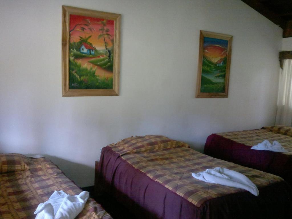 Hostel Villa Verde Monteverde Dış mekan fotoğraf