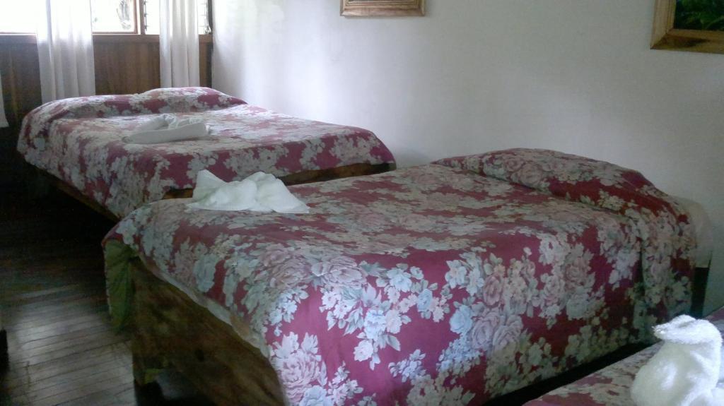 Hostel Villa Verde Monteverde Dış mekan fotoğraf