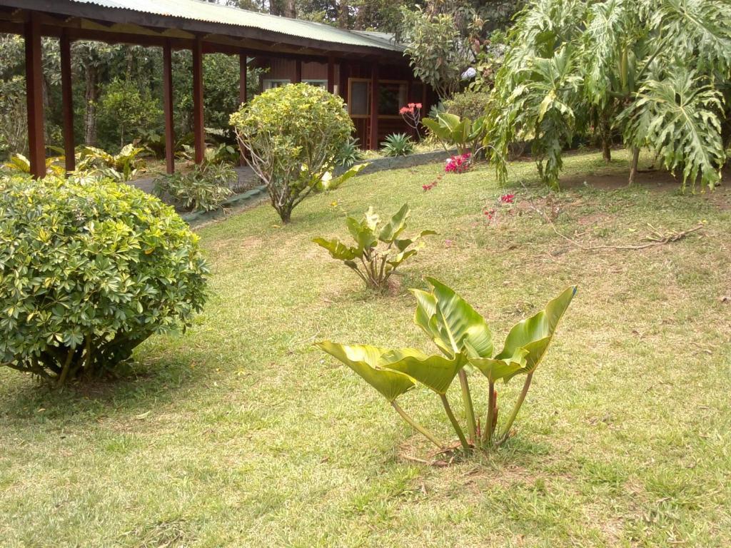 Hostel Villa Verde Monteverde Dış mekan fotoğraf
